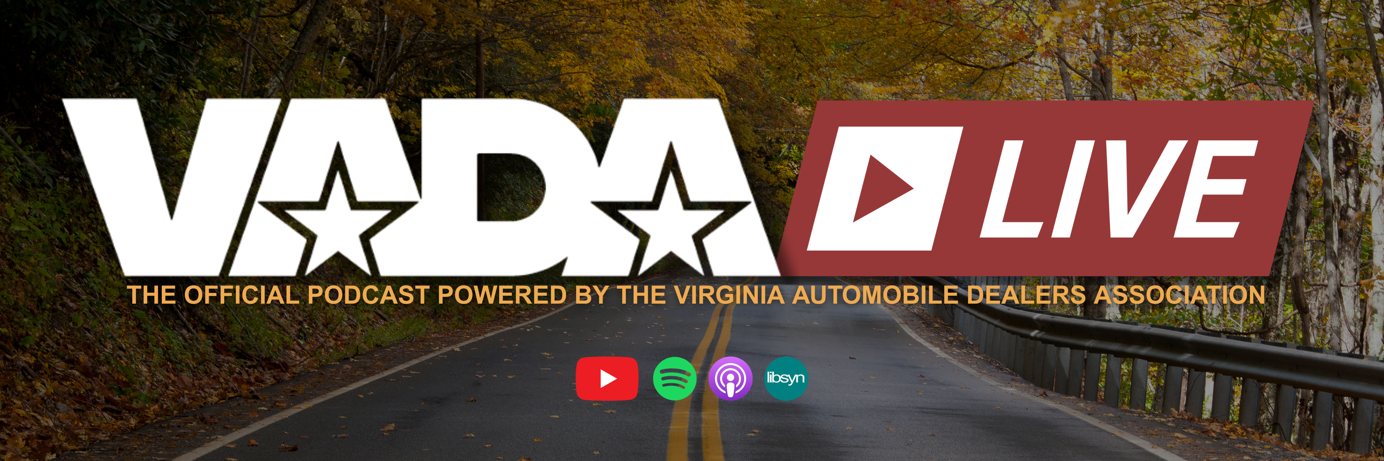 Copy of VADA Live - Libsyn Podcast Cover (1)
